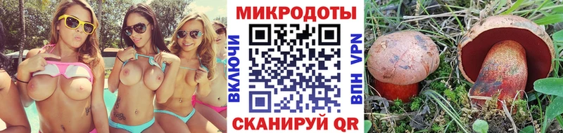 Галлюциногенные грибы прущие грибы  Арск 
